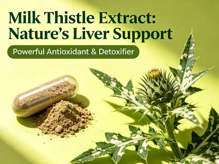 What Are the Benefits of Milk Thistle for Liver Health?